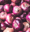 Red Onion