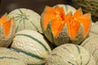 Cantaloupe