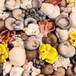 Wild Mushrooms 375g