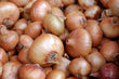 Brown Onion Each