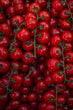 Cherry Truss Tomato Premium