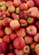Royal Gala Apples