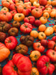 Heirloom Tomatoes