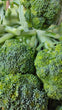 Broccoli 500gram