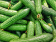 Cucumber Lebanese