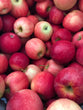 Pink Lady Apples