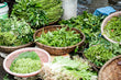 Salad Mix Prepacks